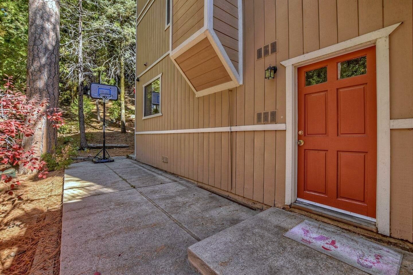 Shoot hoops under the pines