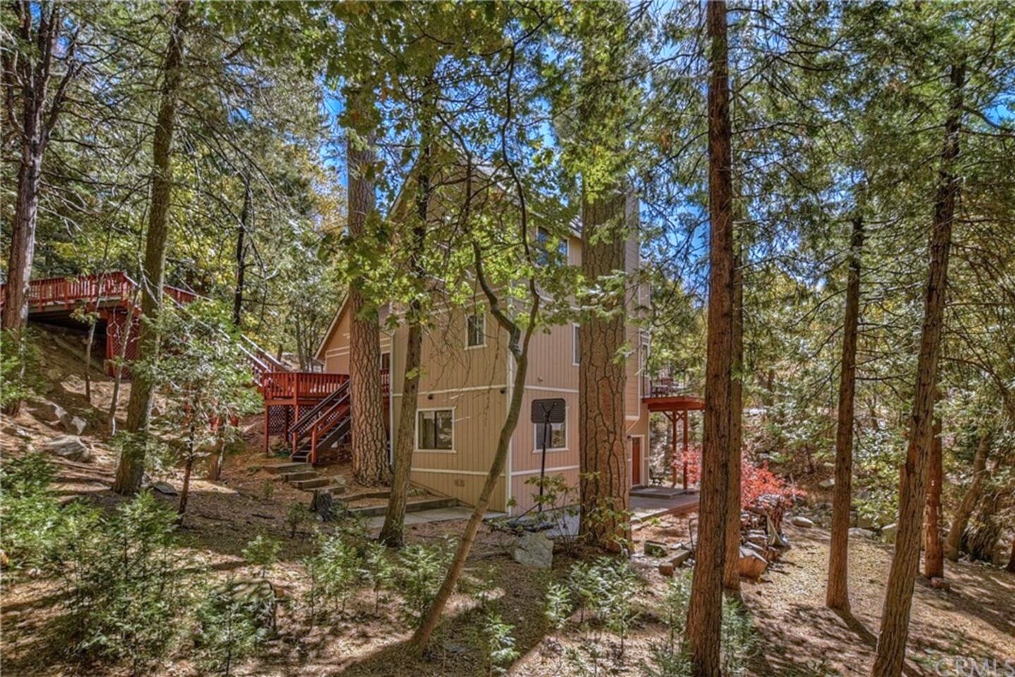 The cabin in the pines