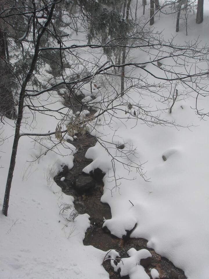Winter on the creek
